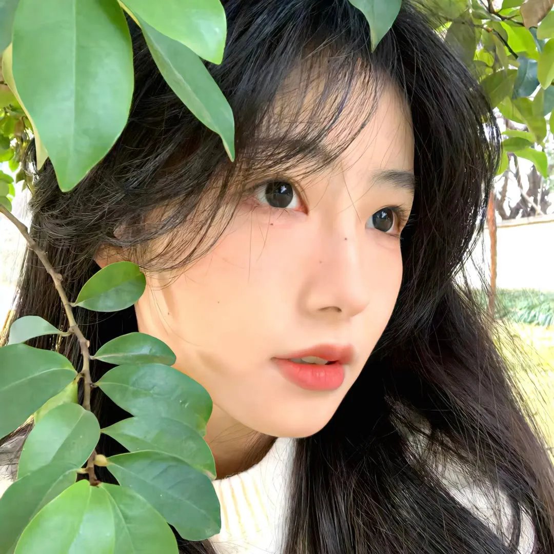 遛鸟家族